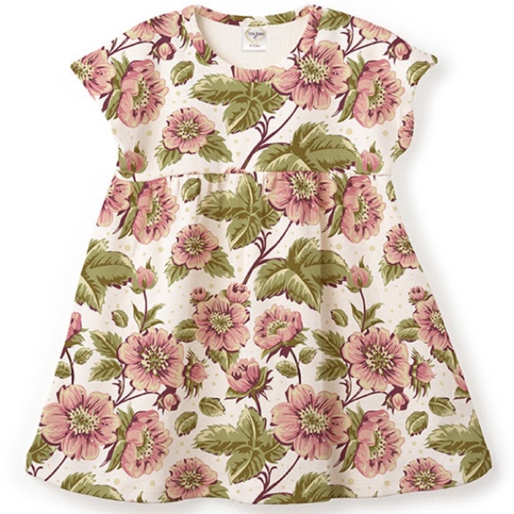 Tesa Babe Floral Dress / Sizes Newborn - Infant / White Pink Green / NWT